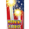 A box of 14" MORNING GLORYS fireworks with an American flag on it.