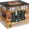 An AMMO BOX in a box.