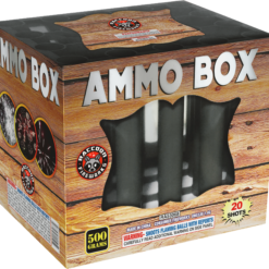 An AMMO BOX in a box.