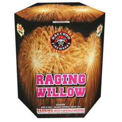 A box of RAGING WILLOW fireworks.